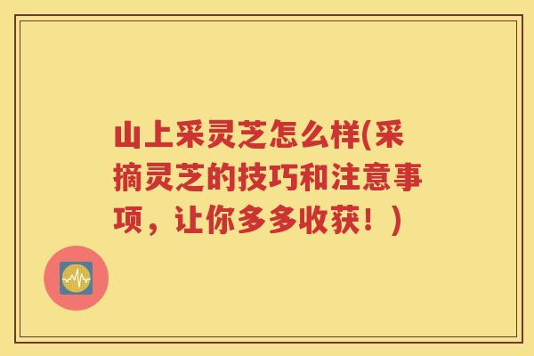 山上采灵芝怎么样(采摘灵芝的技巧和注意事项，让你多多收获！)