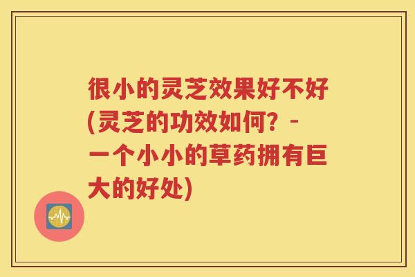 很小的灵芝效果好不好(灵芝的功效如何?-一个小小的草药拥有巨大的好处) 很小的灵芝效果好不好(灵芝的功效如何?-一个小小的草药拥有巨大的好处)