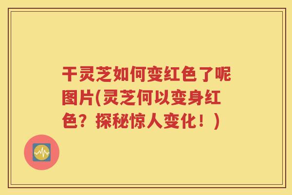 干灵芝如何变红色了呢图片(灵芝何以变身红色?探秘惊人变化!) 干灵芝如何变红色了呢图片(灵芝何以变身红色?探秘惊人变化!)