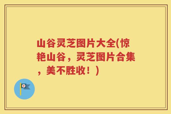 山谷灵芝图片大全(惊艳山谷，灵芝图片合集，美不胜收！)