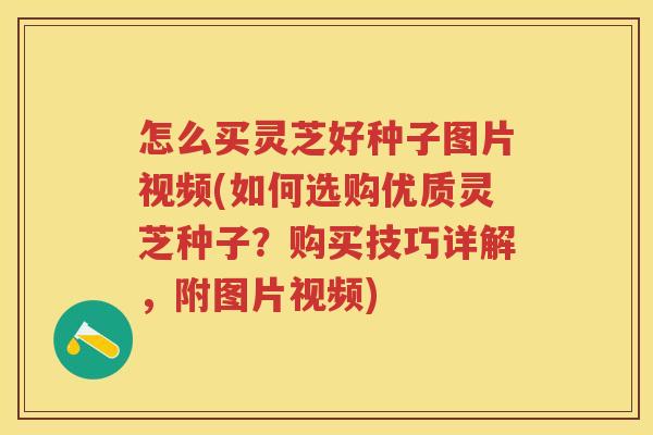 怎么买灵芝好种子图片视频(如何选购优质灵芝种子？购买技巧详解，附图片视频)