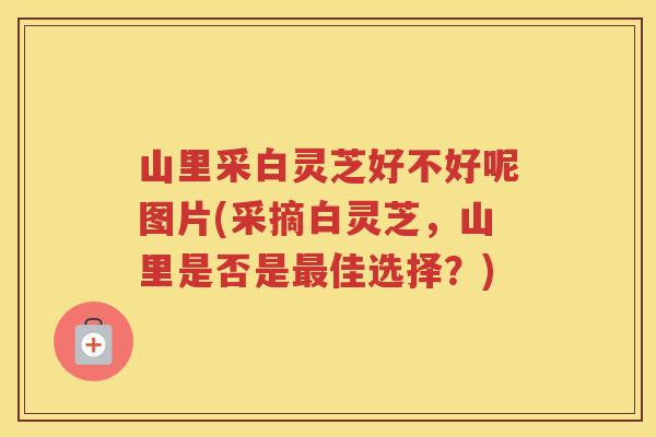 山里采白灵芝好不好呢图片(采摘白灵芝，山里是否是佳选择？)