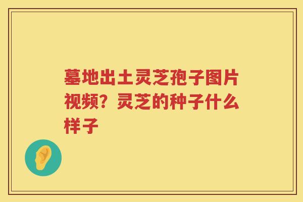 墓地出土灵芝孢子图片视频?灵芝的种子什么样子 墓地出土灵芝孢子图片视频?灵芝的种子什么样子