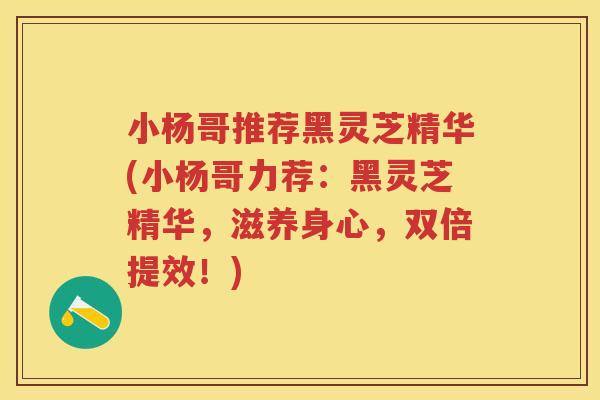 小杨哥推荐黑灵芝精华(小杨哥力荐:黑灵芝精华,滋养身心,双倍提效!) 小杨哥推荐黑灵芝精华(小杨哥力荐:黑灵芝精华,滋养身心,双倍提效!)