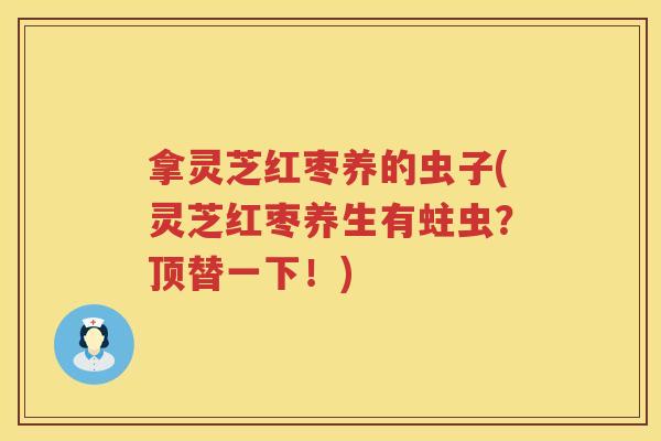 拿灵芝红枣养的虫子(灵芝红枣养生有蛀虫？顶替一下！)