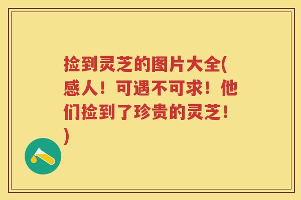 捡到灵芝的图片大全(感人！可遇不可求！他们捡到了珍贵的灵芝！)
