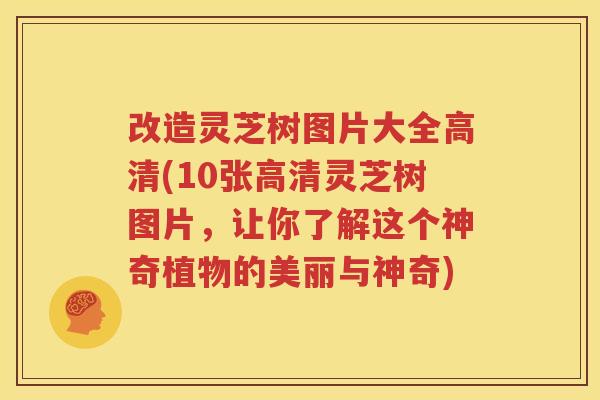 改造灵芝树图片大全高清(10张高清灵芝树图片，让你了解这个神奇植物的美丽与神奇)