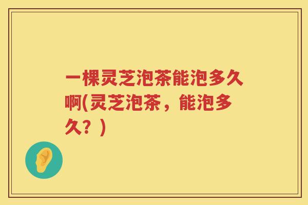 一棵灵芝泡茶能泡多久啊(灵芝泡茶，能泡多久？)