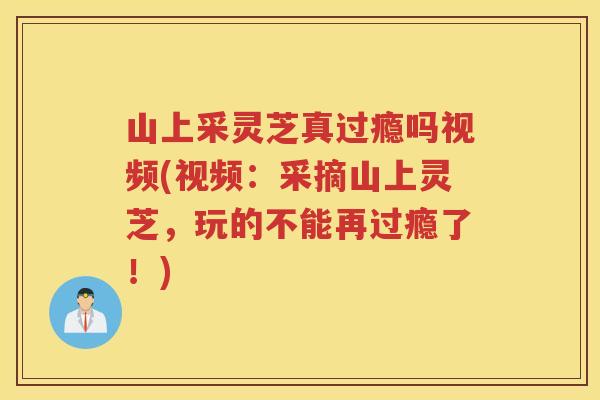 山上采灵芝真过瘾吗视频(视频：采摘山上灵芝，玩的不能再过瘾了！)