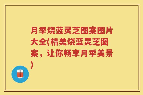 月季烧蓝灵芝图案图片大全(精美烧蓝灵芝图案，让你畅享月季美景)