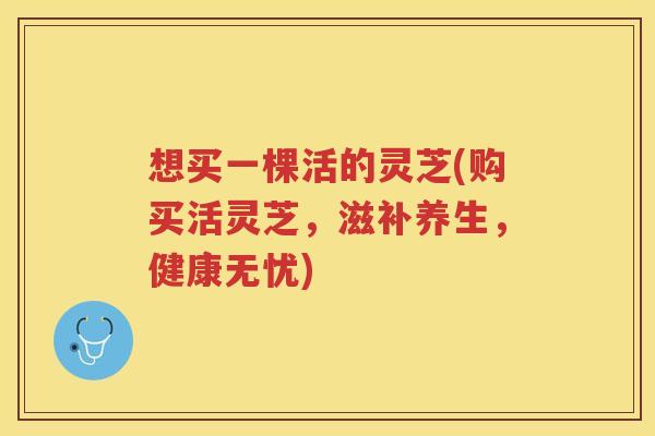 想买一棵活的灵芝(购买活灵芝，滋补养生，健康无忧)