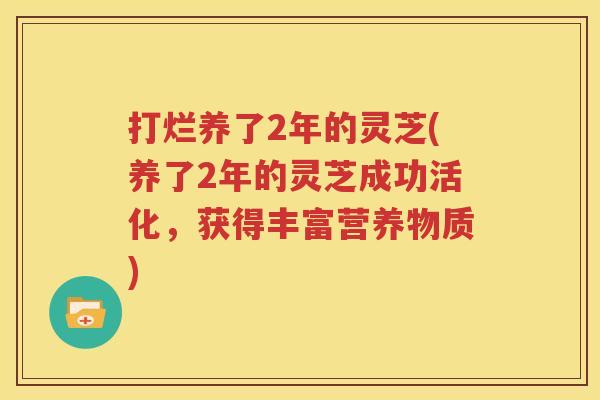 打烂养了2年的灵芝(养了2年的灵芝成功活化，获得丰富营养物质)