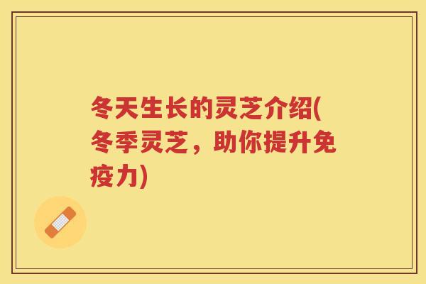 冬天生长的灵芝介绍(冬季灵芝,助你提升免疫力) 冬天生长的灵芝介绍(冬季灵芝,助你提升免疫力)