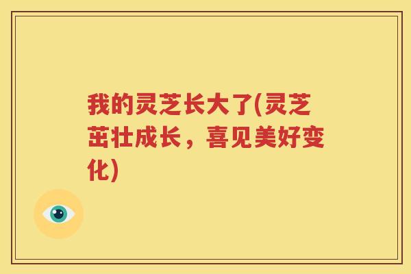 我的灵芝长大了(灵芝茁壮成长,喜见美好变化) 我的灵芝长大了(灵芝茁壮成长,喜见美好变化)