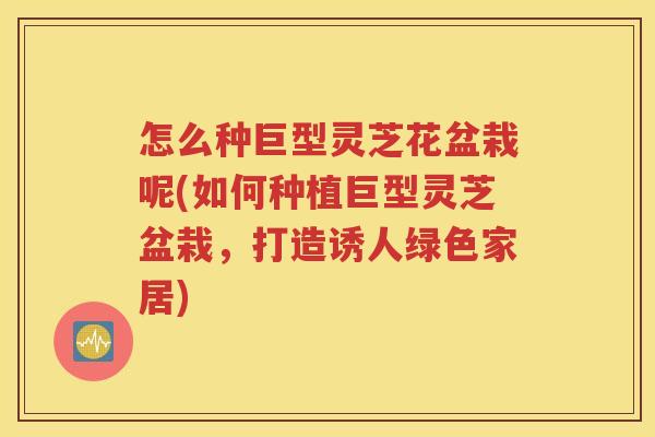 怎么种巨型灵芝花盆栽呢(如何种植巨型灵芝盆栽,打造诱人绿色家居) 怎么种巨型灵芝花盆栽呢(如何种植巨型灵芝盆栽,打造诱人绿色家居)