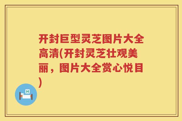 开封巨型灵芝图片大全高清(开封灵芝壮观美丽，图片大全赏心悦目)
