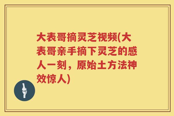 大表哥摘灵芝视频(大表哥亲手摘下灵芝的感人一刻，原始土方法神效惊人)