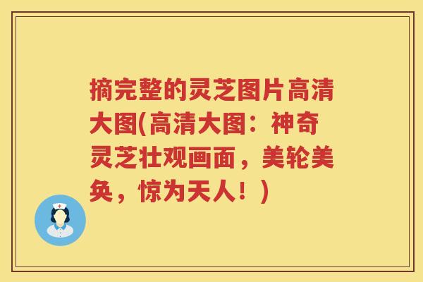 摘完整的灵芝图片高清大图(高清大图：神奇灵芝壮观画面，美轮美奂，惊为天人！)