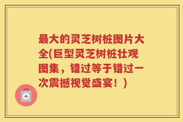 大的灵芝树桩图片大全(巨型灵芝树桩壮观图集，错过等于错过一次震撼视觉盛宴！)