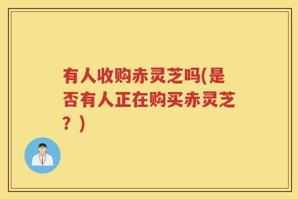 有人收购赤灵芝吗(是否有人正在购买赤灵芝？)