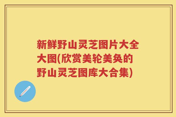 新鲜野山灵芝图片大全大图(欣赏美轮美奂的野山灵芝图库大合集)