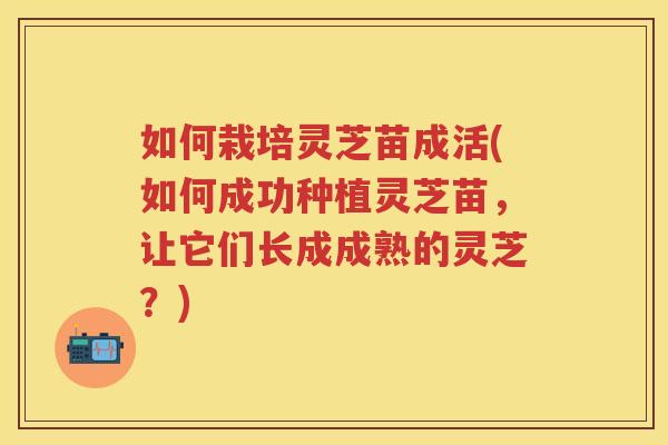 如何栽培灵芝苗成活(如何成功种植灵芝苗，让它们长成成熟的灵芝？)