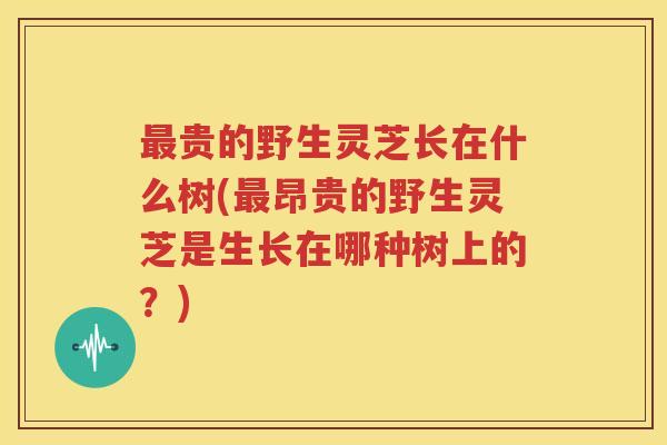 贵的野生灵芝长在什么树(昂贵的野生灵芝是生长在哪种树上的？)