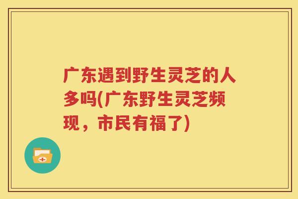 广东遇到野生灵芝的人多吗(广东野生灵芝频现，市民有福了)
