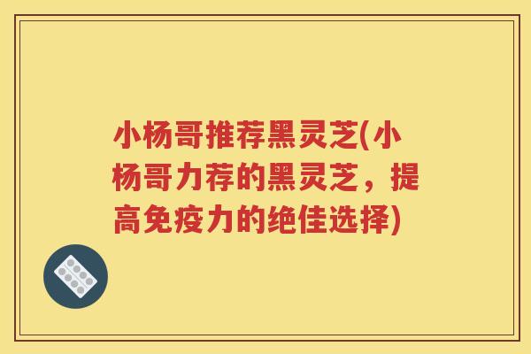 小杨哥推荐黑灵芝(小杨哥力荐的黑灵芝，提高免疫力的绝佳选择)