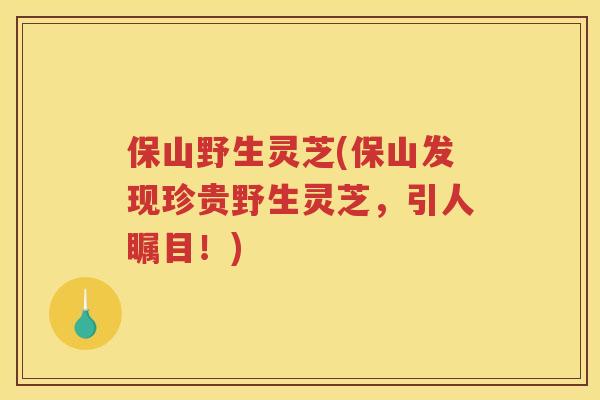 保山野生灵芝(保山发现珍贵野生灵芝，引人瞩目！)