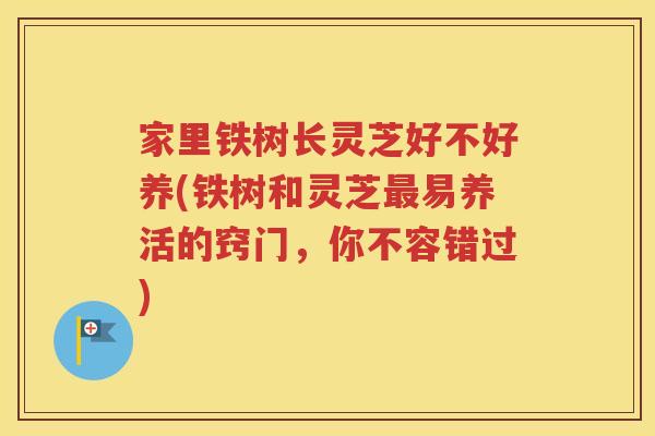 家里铁树长灵芝好不好养(铁树和灵芝易养活的窍门，你不容错过)