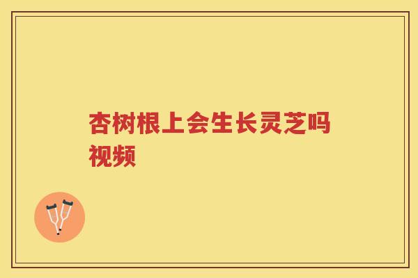 杏树根上会生长灵芝吗视频 杏树根上会生长灵芝吗视频