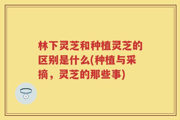 林下灵芝和种植灵芝的区别是什么(种植与采摘,灵芝的那些事) 林下灵芝和种植灵芝的区别是什么(种植与采摘,灵芝的那些事)