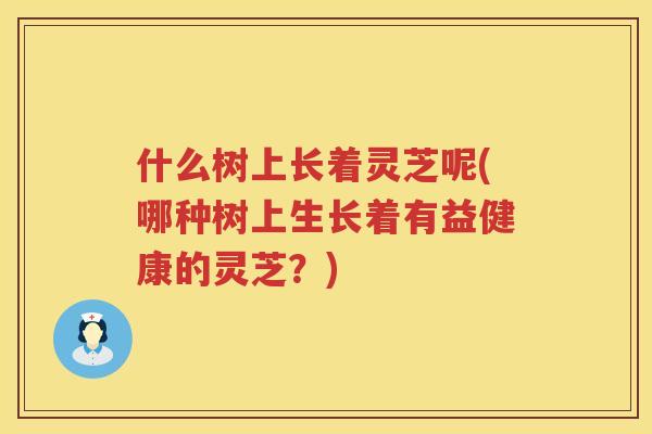 什么树上长着灵芝呢(哪种树上生长着有益健康的灵芝？)