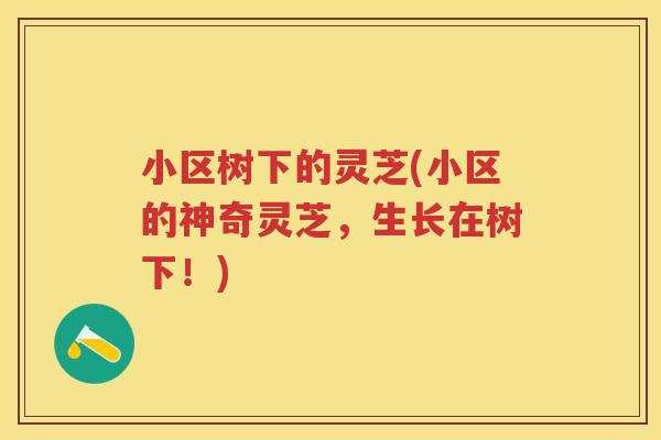 小区树下的灵芝(小区的神奇灵芝，生长在树下！)