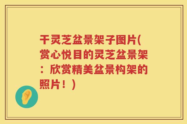 干灵芝盆景架子图片(赏心悦目的灵芝盆景架：欣赏精美盆景构架的照片！)