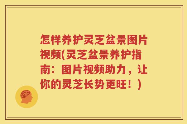 怎样养护灵芝盆景图片视频(灵芝盆景养护指南：图片视频助力，让你的灵芝长势更旺！)