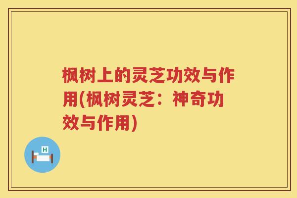 枫树上的灵芝功效与作用(枫树灵芝:神奇功效与作用) 枫树上的灵芝功效与作用(枫树灵芝:神奇功效与作用)