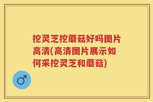 挖灵芝挖蘑菇好吗图片高清(高清图片展示如何采挖灵芝和蘑菇)