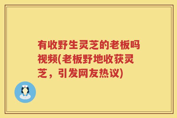 有收野生灵芝的老板吗视频(老板野地收获灵芝，引发网友热议)