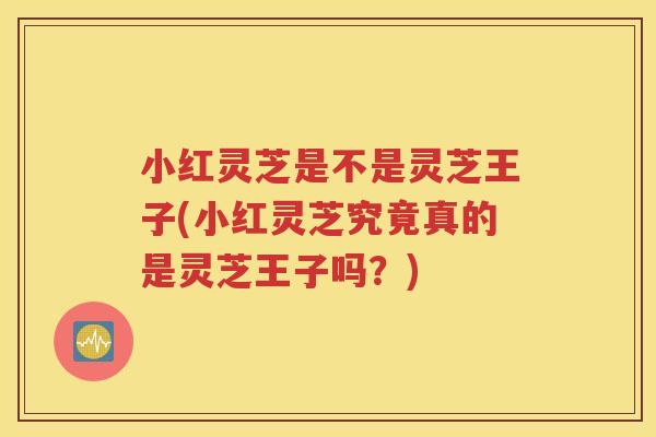小红灵芝是不是灵芝王子(小红灵芝究竟真的是灵芝王子吗?) 小红灵芝是不是灵芝王子(小红灵芝究竟真的是灵芝王子吗?)