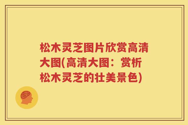 松木灵芝图片欣赏高清大图(高清大图：赏析松木灵芝的壮美景色)
