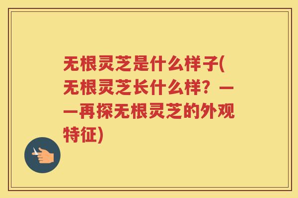 无根灵芝是什么样子(无根灵芝长什么样?——再探无根灵芝的外观特征) 无根灵芝是什么样子(无根灵芝长什么样?——再探无根灵芝的外观特征)