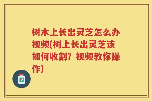 树木上长出灵芝怎么办视频(树上长出灵芝该如何收割?视频教你操作) 树木上长出灵芝怎么办视频(树上长出灵芝该如何收割?视频教你操作)