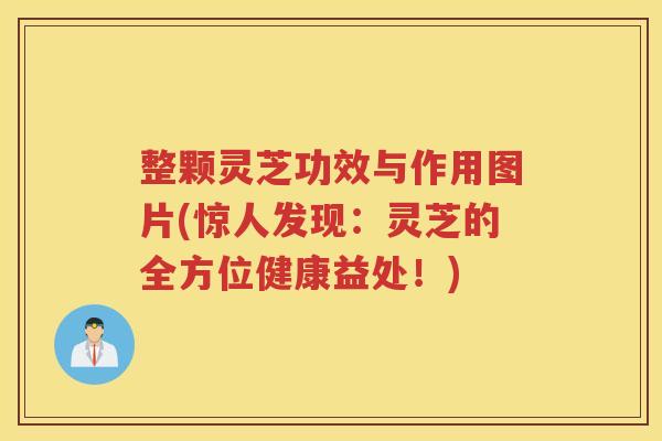 整颗灵芝功效与作用图片(惊人发现:灵芝的全方位健康益处!) 整颗灵芝功效与作用图片(惊人发现:灵芝的全方位健康益处!)
