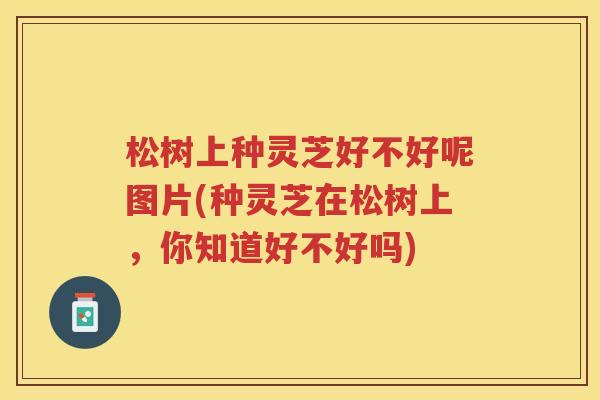 松树上种灵芝好不好呢图片(种灵芝在松树上,你知道好不好吗) 松树上种灵芝好不好呢图片(种灵芝在松树上,你知道好不好吗)