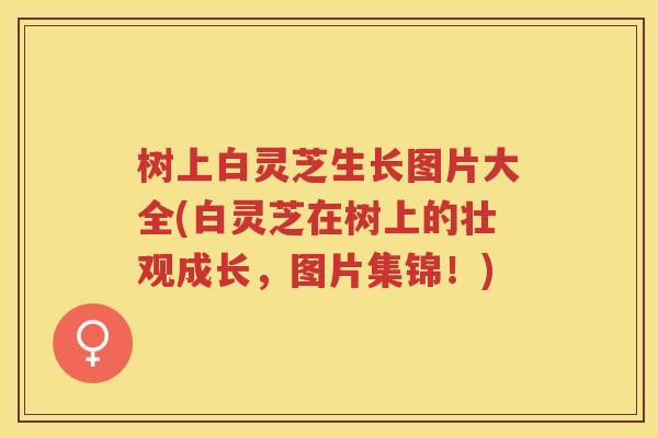 树上白灵芝生长图片大全(白灵芝在树上的壮观成长,图片集锦!) 树上白灵芝生长图片大全(白灵芝在树上的壮观成长,图片集锦!)