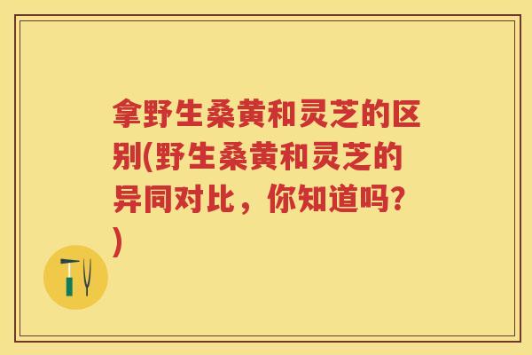 拿野生桑黄和灵芝的区别(野生桑黄和灵芝的异同对比，你知道吗？)