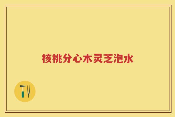 核桃分心木灵芝泡水 核桃分心木灵芝泡水
