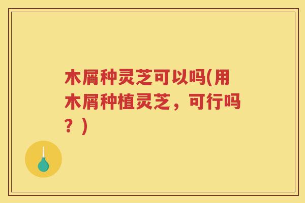 木屑种灵芝可以吗(用木屑种植灵芝，可行吗？)